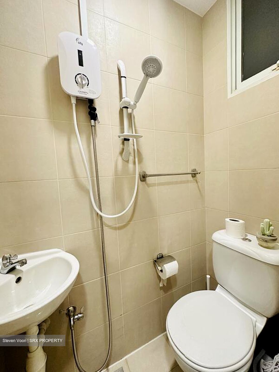 The Regency At Tiong Bahru (D3), Condominium #510004011
